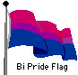 Bi Pride