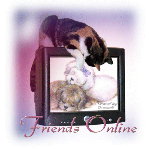 Cat friends online