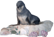 Seal